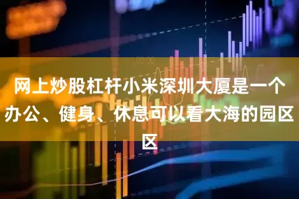 网上炒股杠杆小米深圳大厦是一个办公、健身、休息可以看大海的园区